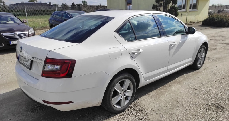 Skoda Octavia cena 55950 przebieg: 204700, rok produkcji 2018 z Leszno małe 37
